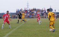 CRC 2010 14