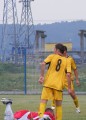 CRC 2010 15