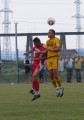 CRC 2010 16