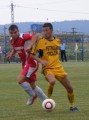 CRC 2010 17