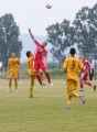 CRC 2010 29