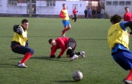 DSCN6980