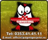 Magazin Surprizeria Magazin Surprizeria